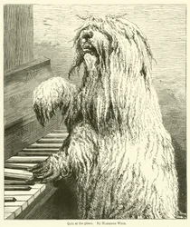 Quiz at the Piano
