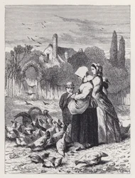 The Poultry Yard