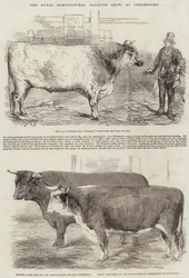 The Royal Agricultural Society