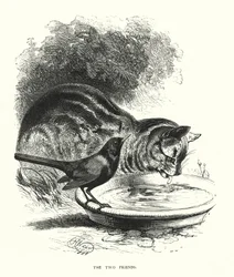 The Two Friends (engraving)