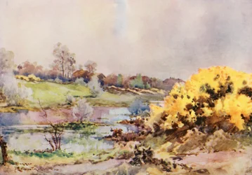 Golf Courses: Working, looking back at sixteenth green