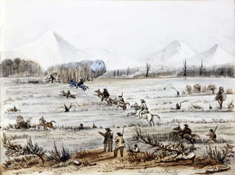 Fox Hunting, Strait of Magellan