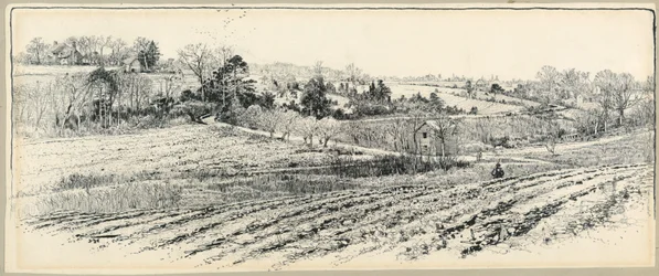 The Battlefield at Beaver Dam Creek
