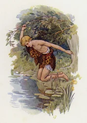 Narcissus