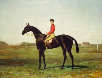 A Racehorse with Jockey on the Racetrack at Newmarket