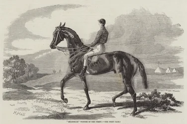 Beadsman, Winner of the Derby