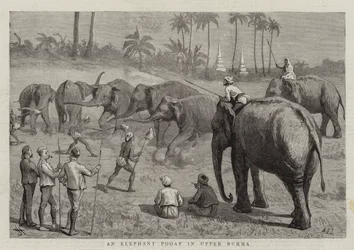An Elephant Pooay in Upper Burma