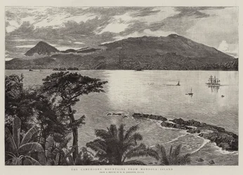 The Cameroons Mountains from Mondole Island
