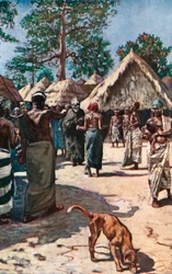 The Devil Visiting a Mandingo Town