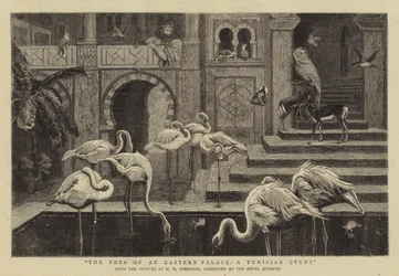 The Pets of an Eastern Palace, a Tunisian Study