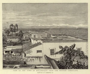 View of the Town of Mocambique from the British Consulate