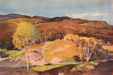 In Glen Cannich