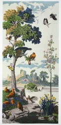 Magnum Opus: Capercailzie, pub. 1933