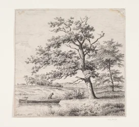 Oak trees by a lake