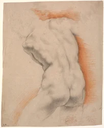 Male Model Bent to the Left, Seen from the Back