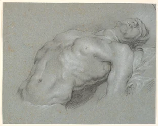 Upper Body of a Strongly Reclining Male Model