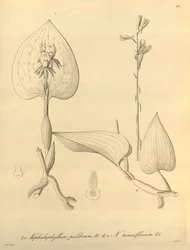Biodiversity Heritage Library