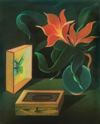 Still Life with Plant and Butterfly