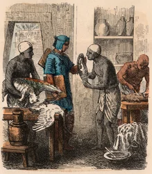 Ancient Egypt: Embalming Animals, 1866