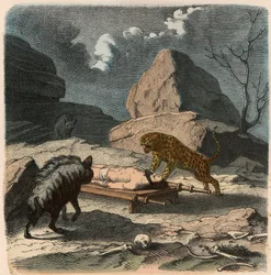 Ancient Orient, Persians: Exposing a Mortal Remains
