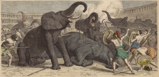 Killing of Captured Elephants in a Roman Arena