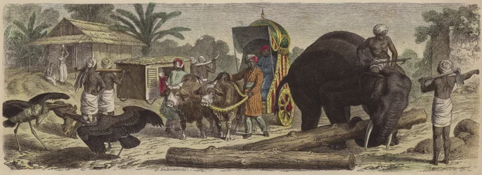 Scene in Bengal, India