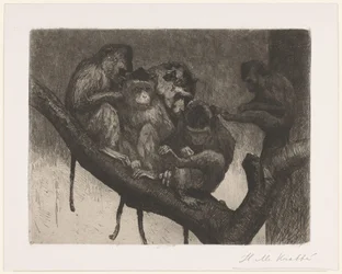 Five Monkeys in a Tree