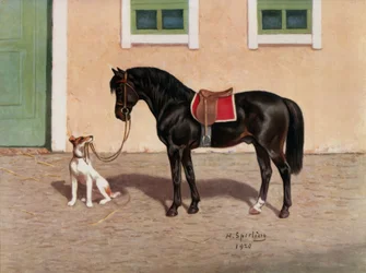 Horse, Black Horse after H. Sperling