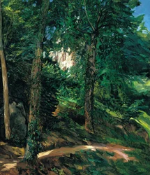 Castle Grounds in Lichtenberg in Odenwald