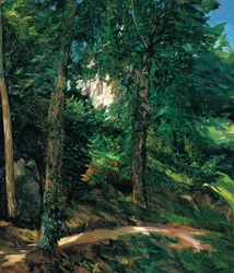 Castle Grounds in Lichtenberg in Odenwald