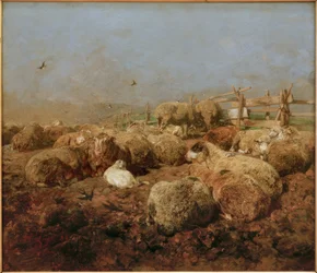 Sheep in the Pen