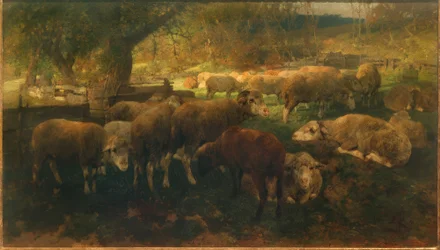 Sheep Under Trees