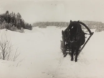 First World War: Ukraine in the years 1914-1916 during the invasion of the German army. A horse-drawn sleigh in the snow (b/w photo)