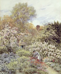 A Garden in Spring