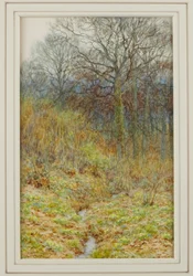 Our Primrose Wood