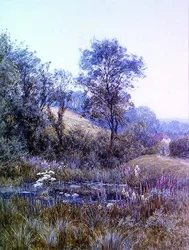 Picking Flowers by the Pond