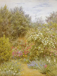Roses in a Surrey Garden