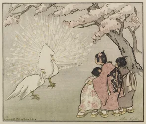 White Peacock, 1914
