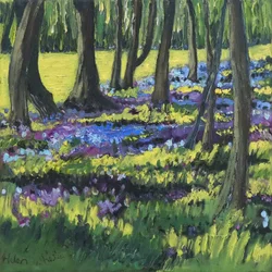 Bluebell Wood