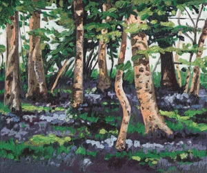 Bluebell Wood