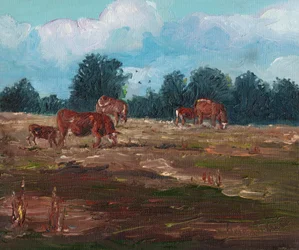 Cows Grazing