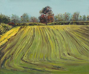 Furrows