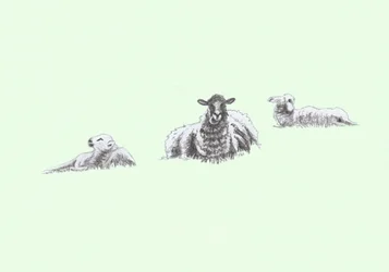Gentle Spirits IV