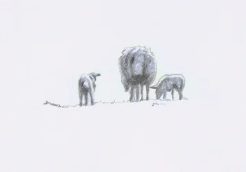 Gentle Spirits V
