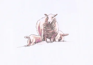 Gentle Spirits X