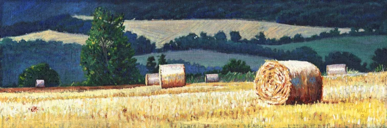 Haybales on hillside