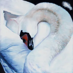 Heart-centred, 2016