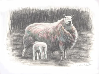Proud, 2016