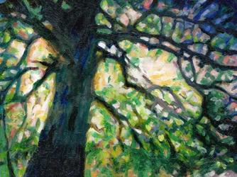 The Silchester Oak, 2016