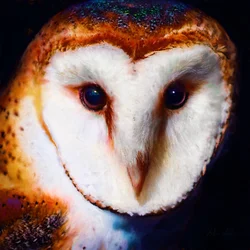 Wisdom in the Dark, 2019